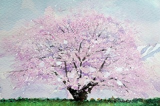 小岩井農場の一本桜